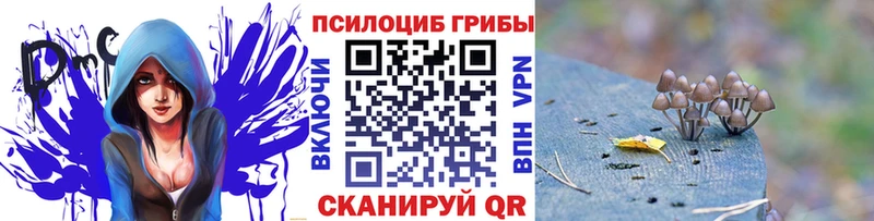 Псилоцибиновые грибы мухоморы  Невель 