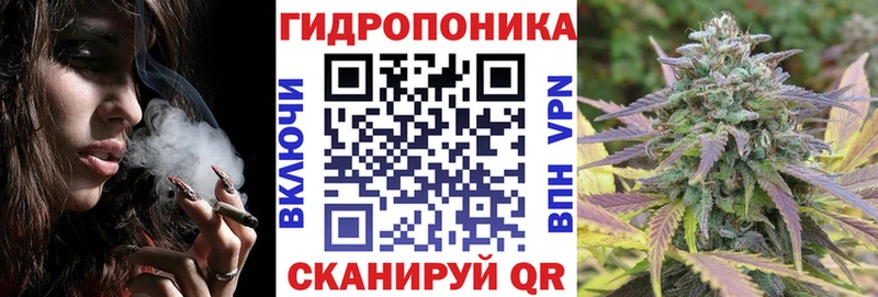 Бошки марихуана марихуана  Невель 